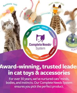 SmartyKat Natural Catnip Canister, 100% Natural Cat Nip for Cats, Premium Dried Catnip for Indoor Cats, Positive Training Aid for Play and Exercise, Resealable Shaker Bottle, 2...
