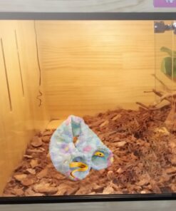 Snake Bonding Bag & Handling Pouch Soft Fleece Calming Bag for Small Snakes, Secure Bonding & Travel Hide for Ball Python, Corn Snake, Hognose, Washable Reptile Handling Bag