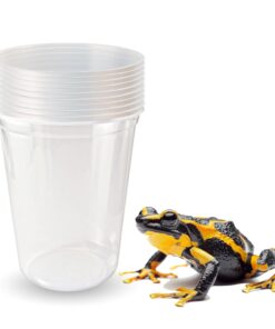 Snout and Shell Deli Cups with Fabric Vented Lids, 10 Pack - Secure Fruit Fly & Insect Cultures, Prevent Escapes & Contaminants, Easy Fruit Fly Media Preparation, Hot Liquid Safe