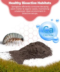 Snout and Shell Springtail Calcium Bearing Clay - 2 lb | Ideal for Culturing Springtails, Reptile and Amphibian Terrariums, and Natural Habitat Cleanup Crew