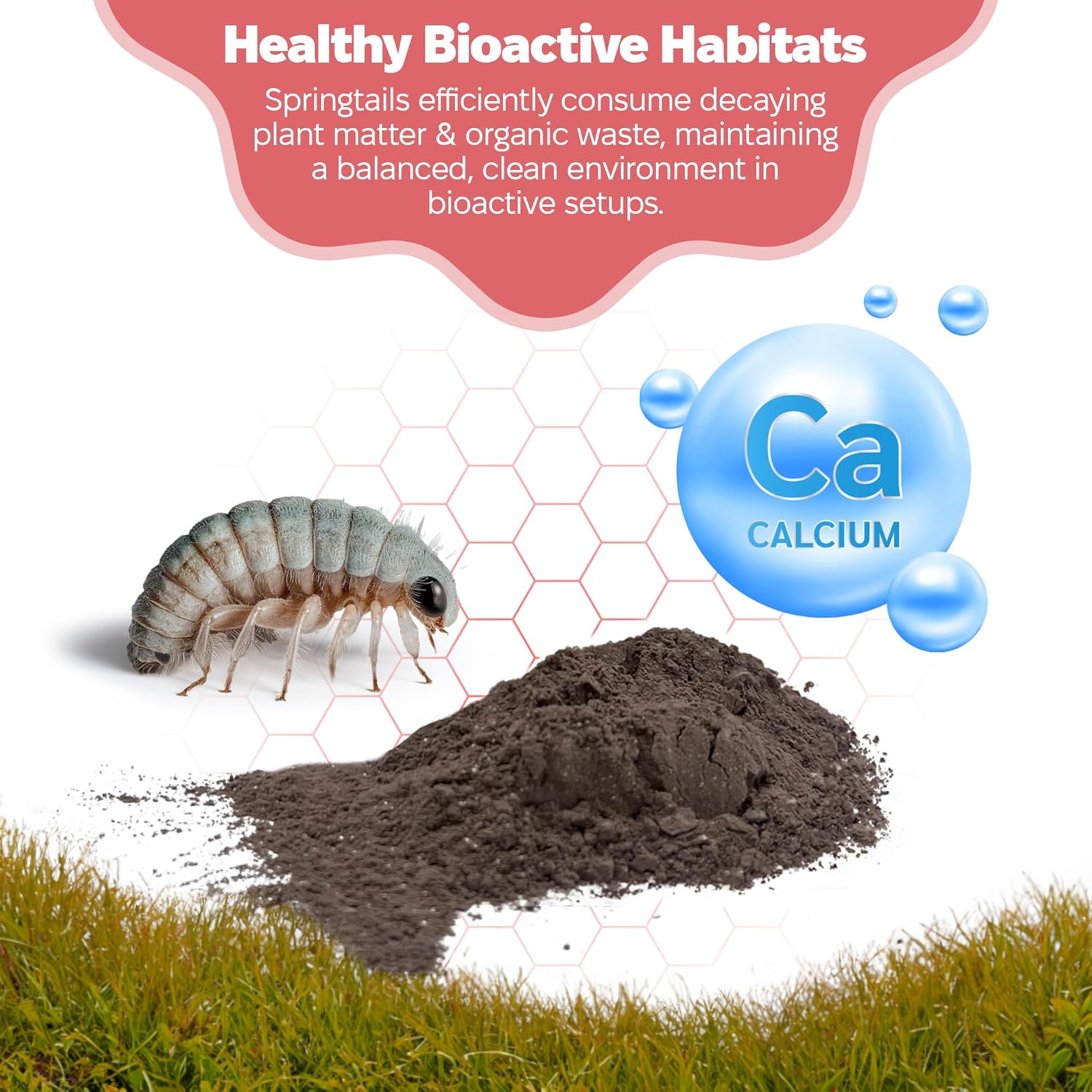 Snout and Shell Springtail Calcium Bearing Clay - 2 lb | Ideal for Culturing Springtails, Reptile and Amphibian Terrariums, and Natural Habitat Cleanup Crew
