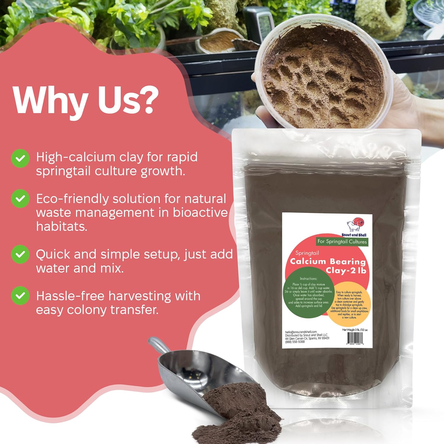 Snout and Shell Springtail Calcium Bearing Clay - 2 lb | Ideal for Culturing Springtails, Reptile and Amphibian Terrariums, and Natural Habitat Cleanup Crew