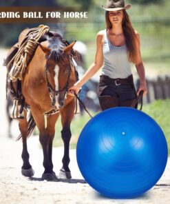Sotiff 2 Pcs 40 Inch Horse Ball for Play Large Horse Big Equine Herding Anti Burst Dog Ball Soccer Giant, Pump Included(40 Inch,Blue)