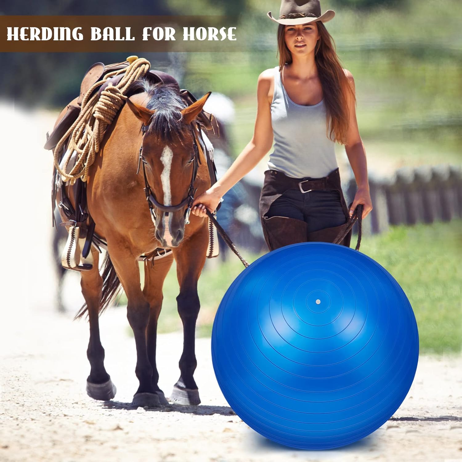 Sotiff 2 Pcs 40 Inch Horse Ball for Play Large Horse Big Equine Herding Anti Burst Dog Ball Soccer Giant, Pump Included(40 Inch,Blue)