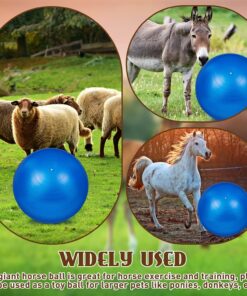 Sotiff 2 Pcs 40 Inch Horse Ball for Play Large Horse Big Equine Herding Anti Burst Dog Ball Soccer Giant, Pump Included(40 Inch,Blue)