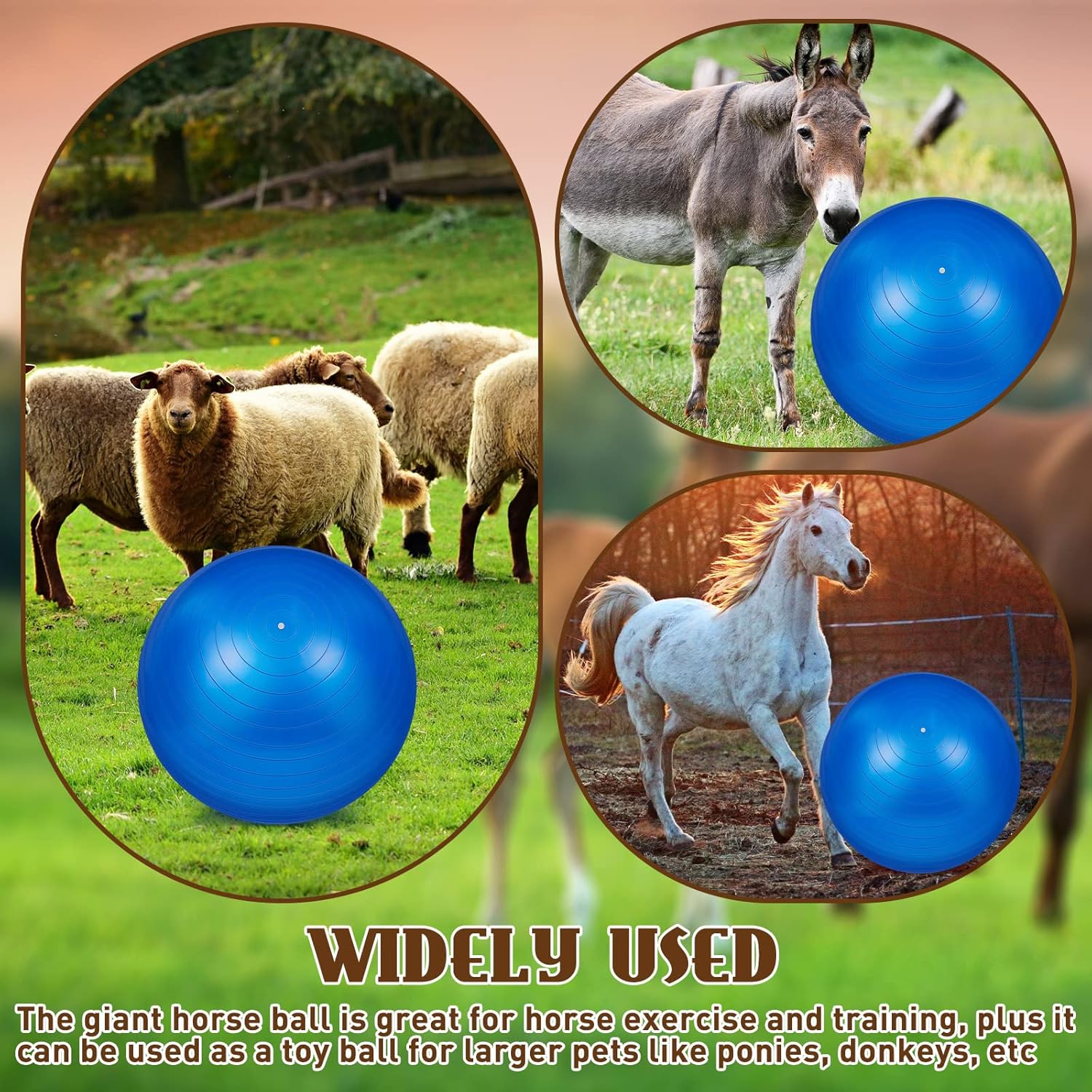 Sotiff 2 Pcs 40 Inch Horse Ball for Play Large Horse Big Equine Herding Anti Burst Dog Ball Soccer Giant, Pump Included(40 Inch,Blue)