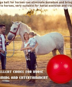 Sotiff 2 Pcs 40 Inch Horse Ball for Play Large Horse Big Equine Herding Anti Burst Dog Ball Soccer Giant, Pump Included(40 Inch,Blue and Red)