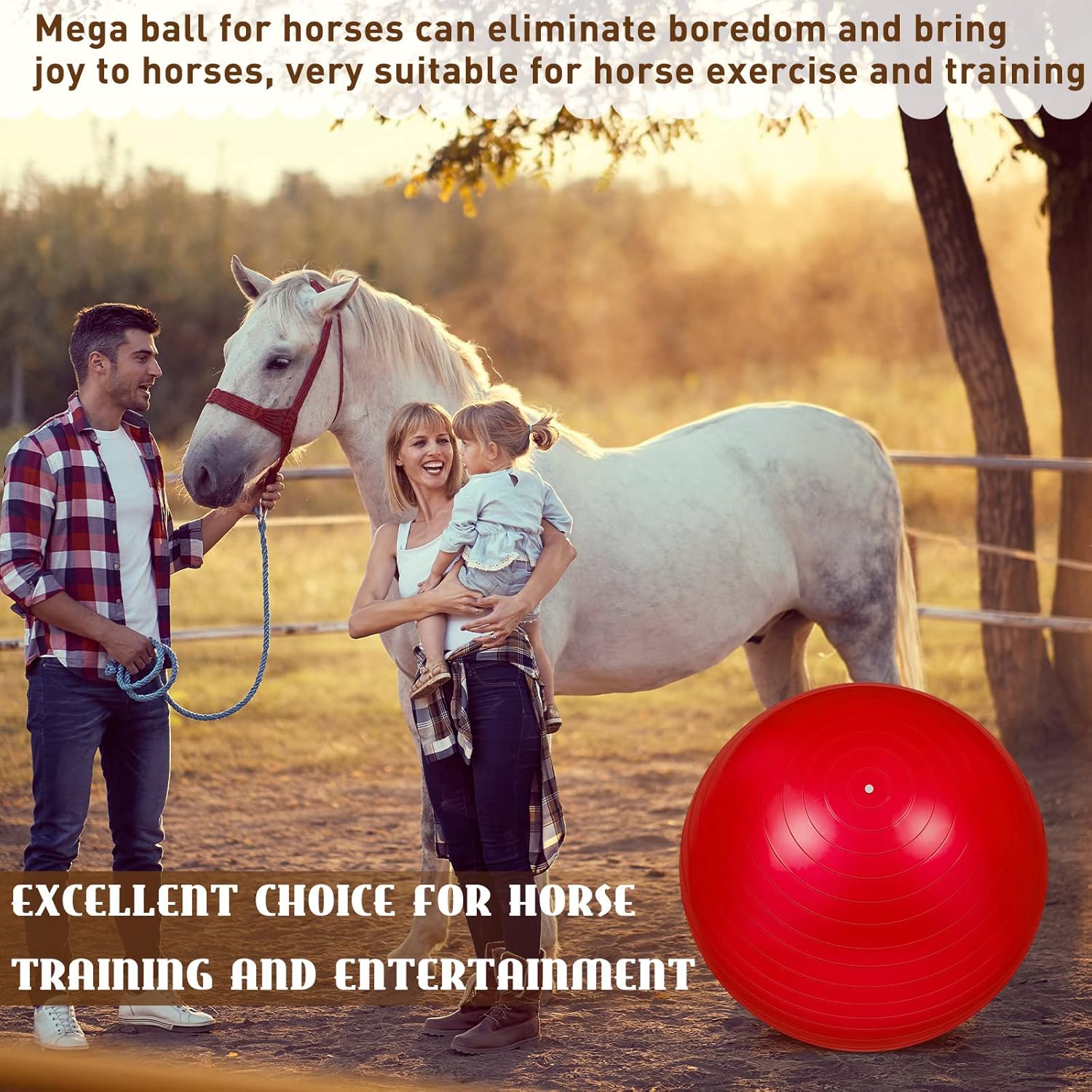 Sotiff 2 Pcs 40 Inch Horse Ball for Play Large Horse Big Equine Herding Anti Burst Dog Ball Soccer Giant, Pump Included(40 Inch,Blue and Red)