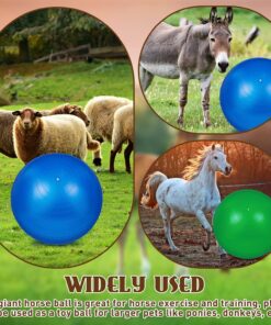 Sotiff 2 Pcs 40 Inch Horse Ball for Play Large Horse Big Equine Herding Anti Burst Dog Ball Soccer Giant, Pump Included(40 Inch,Green, Blue)