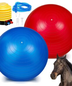 Sotiff 2 Pcs 40 Inch Horse Ball for Play Large Horse Big Equine Herding Anti Burst Dog Ball Soccer Giant, Pump Included(40 Inch,Green, Blue)