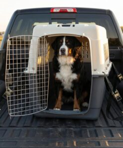 SportPet Airline Compliant XX-LARGE 39