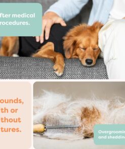 Suitical Recovery Suit for Dogs - Dog Surgery Recovery Suit with Clip-Up System - Breathable Fabric for Spay, Neuter, Skin Conditions, Incontinence - 26.4-29.9 Inches Neck to...
