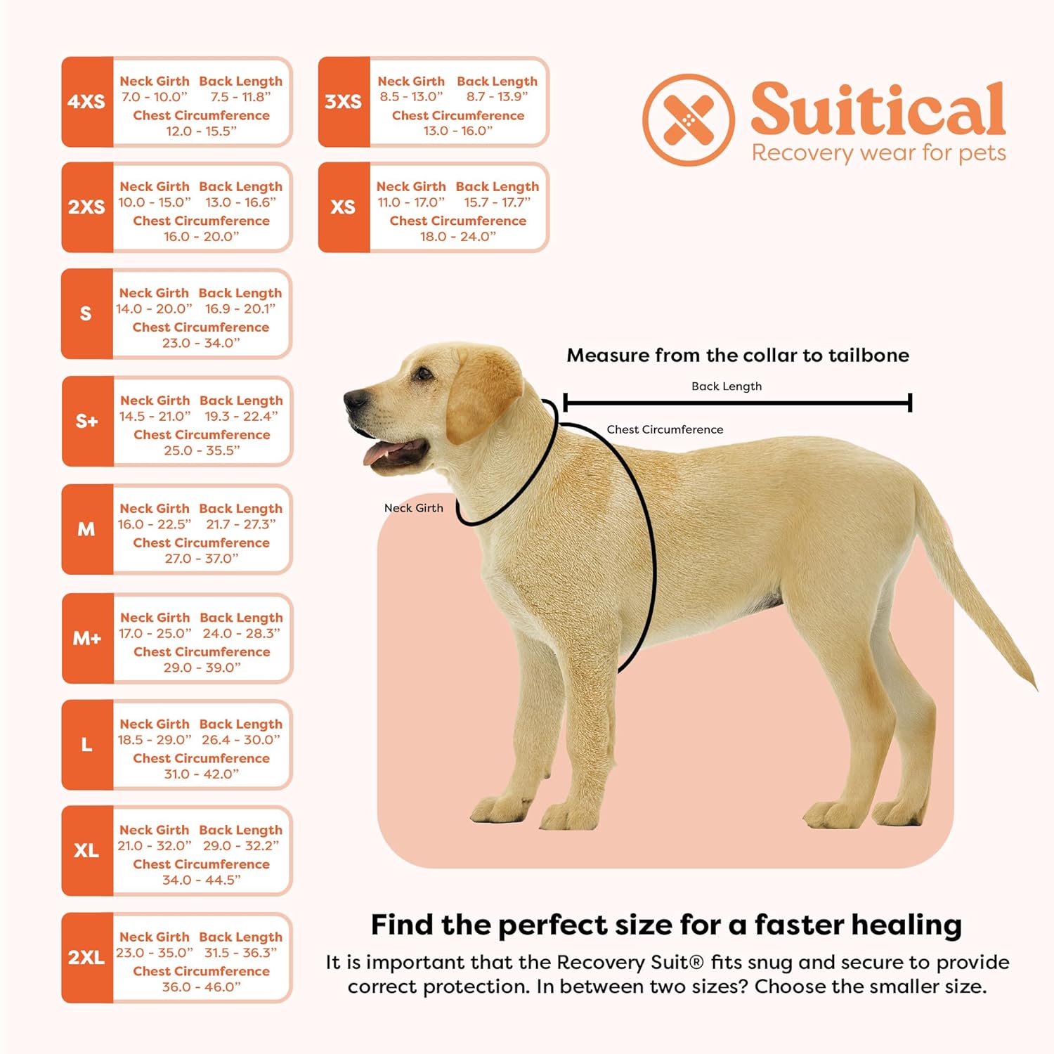 Suitical Recovery Suit for Dogs - Dog Surgery Recovery Suit with Clip-Up System - Breathable Fabric for Spay, Neuter, Skin Conditions, Incontinence - 26.4-29.9 Inches Neck to...
