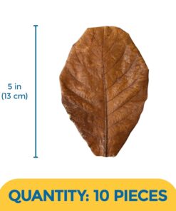 SunGrow 10 Pack Axolotl Indian Almond Leaves for Aquarium, 5-Inches, Catappa Leaf Soothes Pet’s Slime Skin, Aquarium Water Conditioner Leaves Improves Tank Water Quality, Speeds...