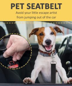 SunGrow Dog Seat Belt for Car, Adjustable Nylon Pet Seatbelt, Supports All Cars, Dog Car Leash Seat Belt, Seatbelt for Dogs, Cats & Ferrets Travel Harness
