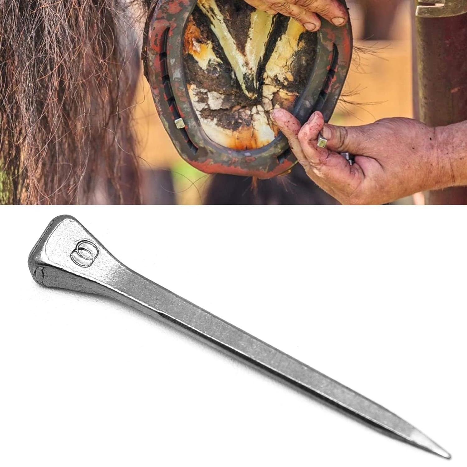 Surf turtle E6 Horseshoe Nails 50 Pcs 2.1 Inches Low Carbon Steel Horse Hoof Nails Horse Training Supplies Tool for Securing Firmly