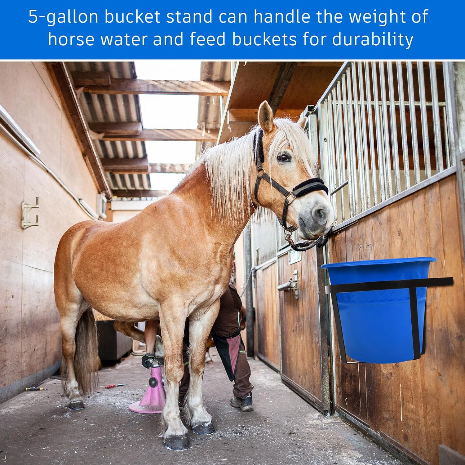 Teenyyou 4 Pcs Heavy Duty Metal Bucket Holder 5 Gallon Horse Water Feed Bucket Holder Pre Installed Pail Accessories Wall Mount Hang Organizer for Horse Stalls Barn Farmhouse...