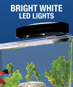 Tetra 3 Gallon Fish Tank, Aquarium Starter Kit with Pedestal Base, LED Light and Filter, For small tropical fish, guppies, goldfish, or betta