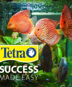 Tetra 3 Gallon Fish Tank, Aquarium Starter Kit with Pedestal Base, LED Light and Filter, For small tropical fish, guppies, goldfish, or betta