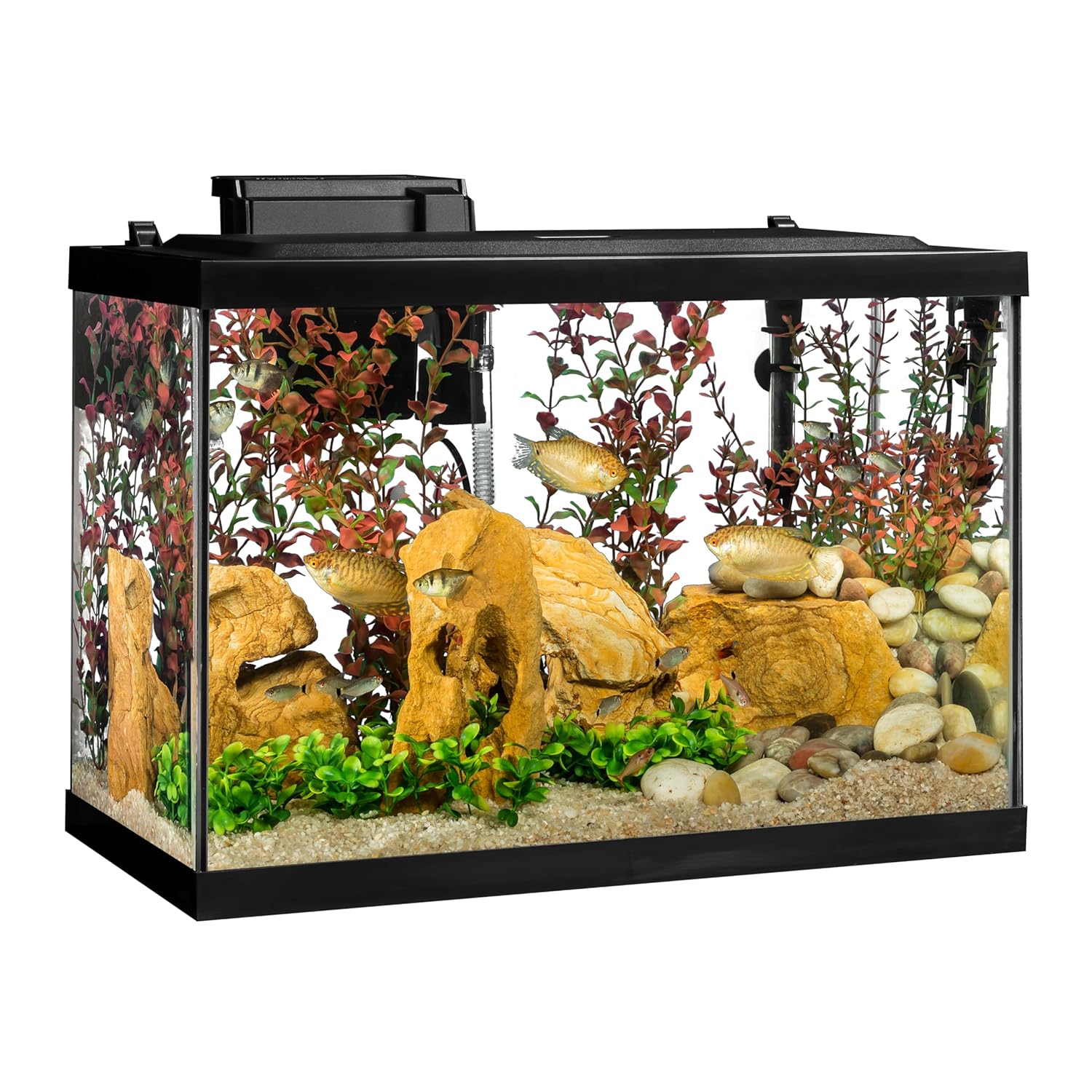 Tetra Aquarium, 20 Gallon, Complete Tropical Fish Tank Kit With LED Lighting And Decor For Freshwater Fish