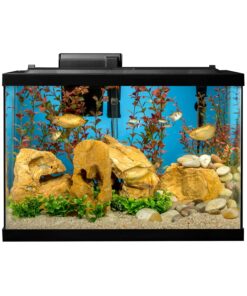 Tetra Aquarium, 20 Gallon, Complete Tropical Fish Tank Kit With LED Lighting And Decor For Freshwater Fish