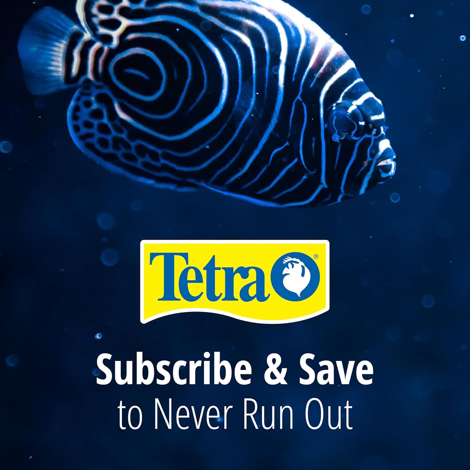 Tetra Whisper Bio-Bag Large Filter Cartridges for Aquariums, 12 Count, Unassembled, Fits Tetra Whisper Fish Tank Filters 10-30 Gal, 20-40 Gal, PF-20, 30, 40, 60, IQ 20, 30, 45, 60