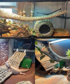 Tfwadmx 2Pcs Large Bearded Dragon Hammock,Lizard Lounger Natural Seagrass Fiber Hammocks,Reptile Hammock Climbing Habitat Tank Accessories with Flexible Vines Leaves Decor for...