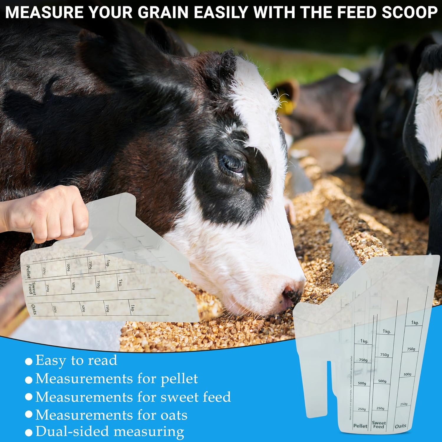Tharos Distribution Clear Plastic Feed Scoop with Measurement Markings, Durable Sturdy Handle, Reusable Pellet Scoop for Horse Goat Sheep Cattle Stable Feeding, Large