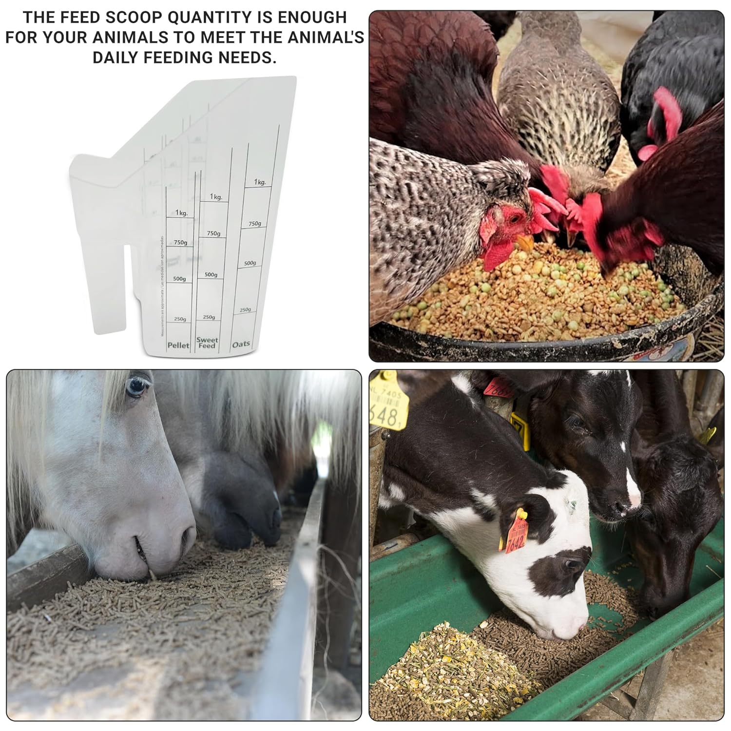 Tharos Distribution Clear Plastic Feed Scoop with Measurement Markings, Durable Sturdy Handle, Reusable Pellet Scoop for Horse Goat Sheep Cattle Stable Feeding, Large