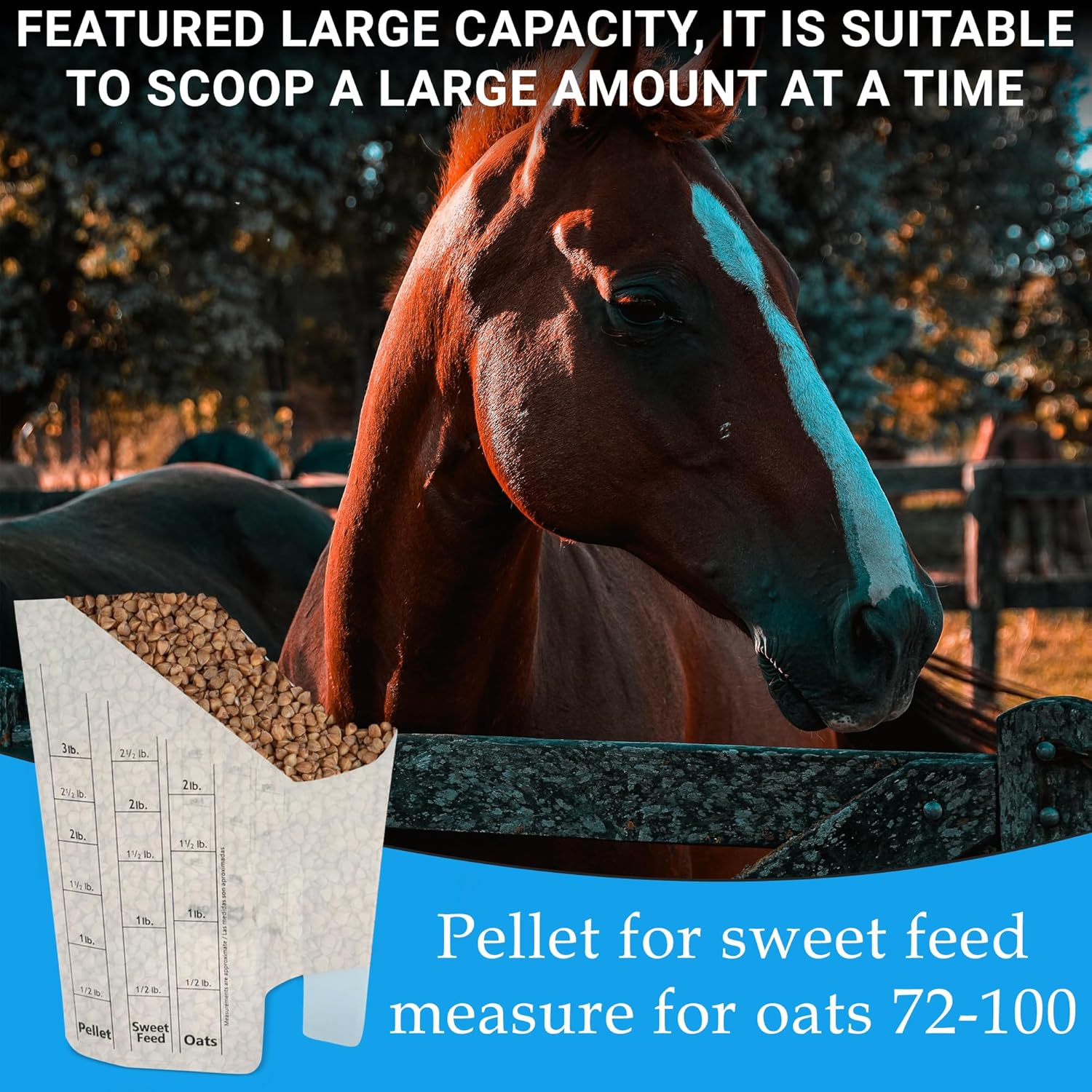 Tharos Distribution Clear Plastic Feed Scoop with Measurement Markings, Durable Sturdy Handle, Reusable Pellet Scoop for Horse Goat Sheep Cattle Stable Feeding, Large