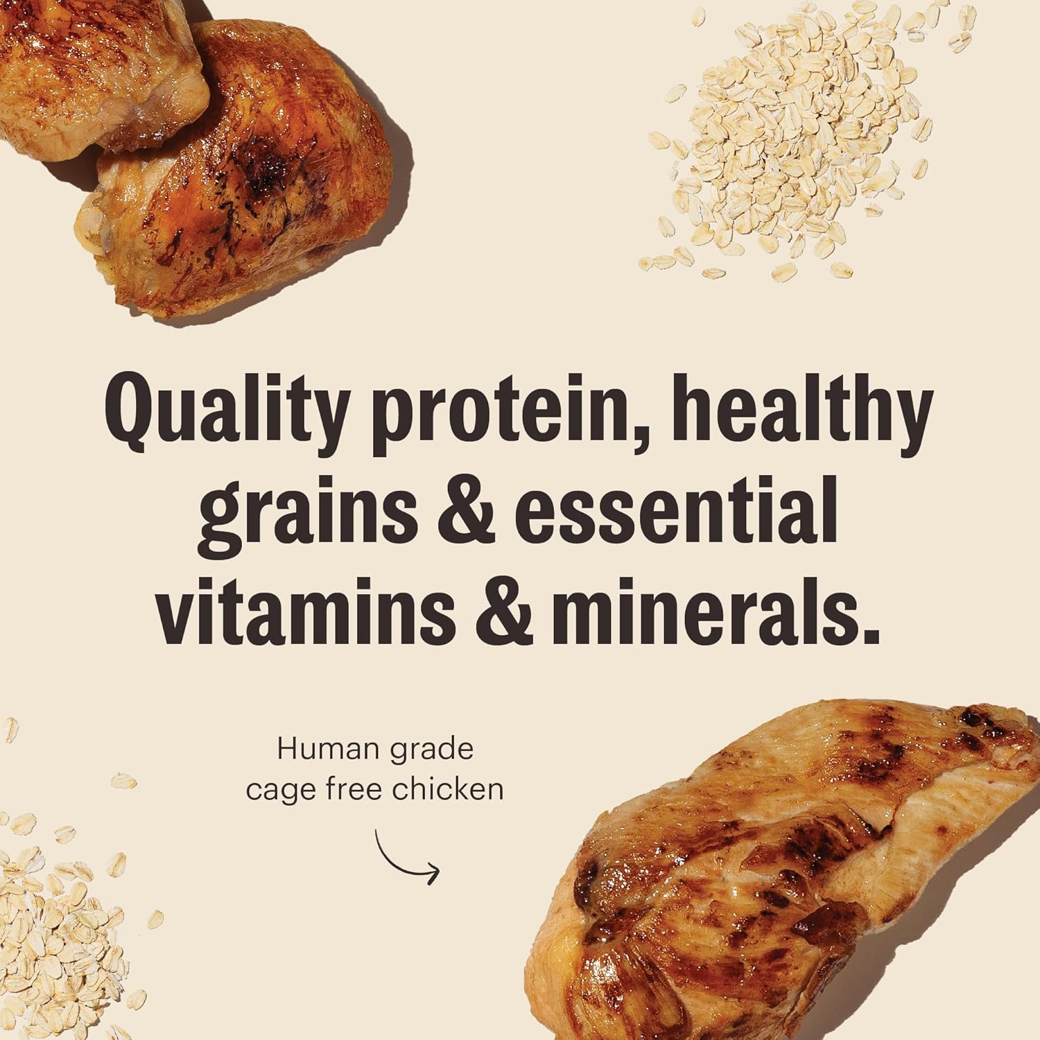The Honest Kitchen Human Grade Essential Clusters Dry Dog Food, Whole Grain Chicken 20 lb Bag