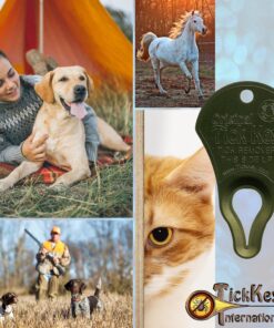 The Original Tick Key -Tick Detaching Device - Portable, Safe and Highly Effective Tick Detaching Tool - 3 Pack (Earth)