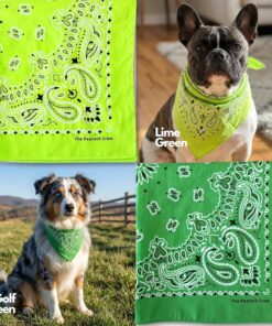 The Peacock Crew Premium Soft Cotton Bandanas Pack for Men and Women Paisley 22 x 22 inches