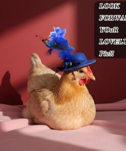 Thinp 6 Pieces Chicken Hats for Hen, Chicken Helmet Accessories Mini Feather Top Hat with Adjustable Elastic Chin Strap Funny Small Hat for Duck Hamster Parrot Bird Animals Show...