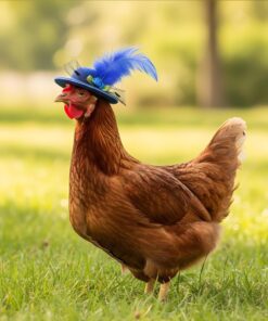 Thinp 6 Pieces Chicken Hats for Hen, Chicken Helmet Accessories Mini Feather Top Hat with Adjustable Elastic Chin Strap Funny Small Hat for Duck Hamster Parrot Bird Animals Show...
