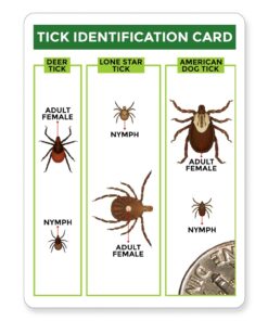 TickCheck Tick Remover Value 3 Pack - Tick Remover Tools + Tick Identification Card - for Humans, Dogs & Cats (1 Set)