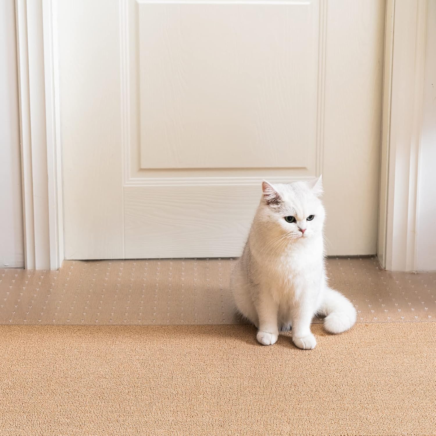 Uross Carpet Protector for Pets - Cat Scratch Guard Mat, Anti Scratch Under Door Guard, Easy to Cut Plastic, 3.6FT