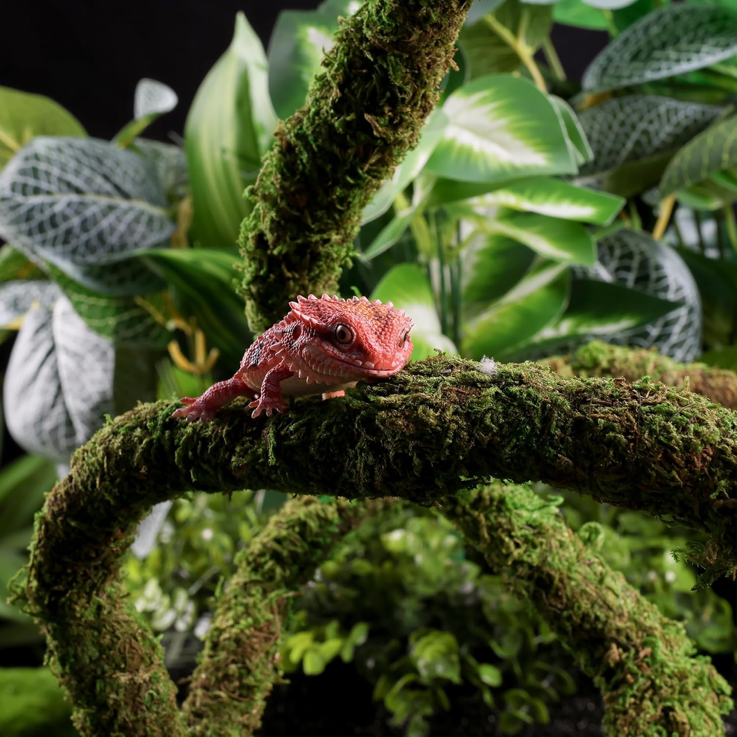 USMOLA Moss Vine for Reptiles, Bendable Climbing Vines Reptile Tank Accessories, Natural Moss Rope for Leopard Gecko, Lizard, Snake, Chameleon, Frog Terrarium Decor (Jungle...
