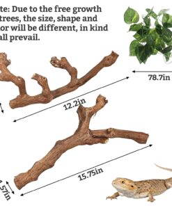 VCEPJH Snake Climbing Branch, 2Pcs Reptile Wood Natural Cork Log Tank Accessories Tree Trunk for Chameleon Bearded Dragon Gecko Snake Frog Spider
