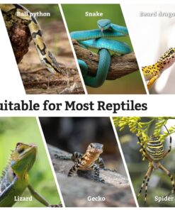 VCEPJH Snake Climbing Branch, 2Pcs Reptile Wood Natural Cork Log Tank Accessories Tree Trunk for Chameleon Bearded Dragon Gecko Snake Frog Spider
