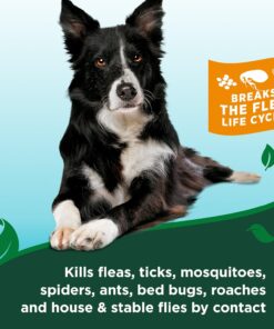 Vet’s Best Flea and Tick Shampoo for Dogs – Advanced Strength Plant-Based Formula for Flea Treatment and Prevention, Natural Flea Bath and Tick Control, Vet Recommended, Made in...