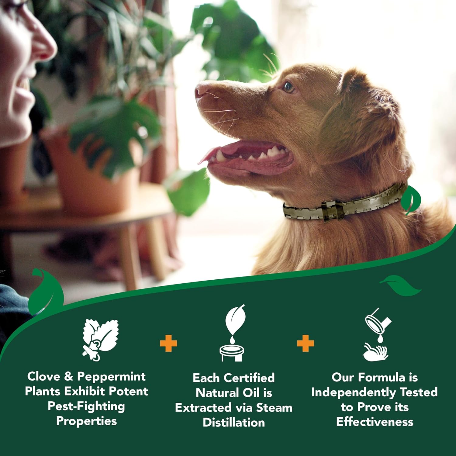 Vet's Best Natural Flea and Tick Collar for Dogs – Natural Repellent Collar with Plant-Based Ingredients – Flea and Tick Prevention and Treatment – Fits Small to Large Dogs – Up...