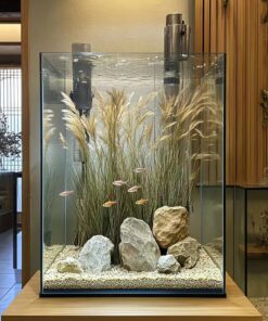 Vimvins 2 Gallon Glass Fish Tank, Easy to Maintain Small Aquarium for Betta/Snails/Shrimp and Aquatic Planting.