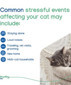 Virbac ZENIFEL™ Gel Diffuser | Managing Stress-Related Behaviors in Kittens & Cats - No Electricity Needed - Lasts Up to 2 Months