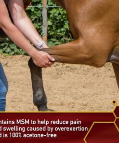 Vita Flex Thermaflex Liniment Gel for Sore Muscles and Joint Relief in Horses 12 Fluid Ounces