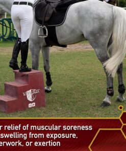 Vita Flex Thermaflex Liniment Gel for Sore Muscles and Joint Relief in Horses 12 Fluid Ounces