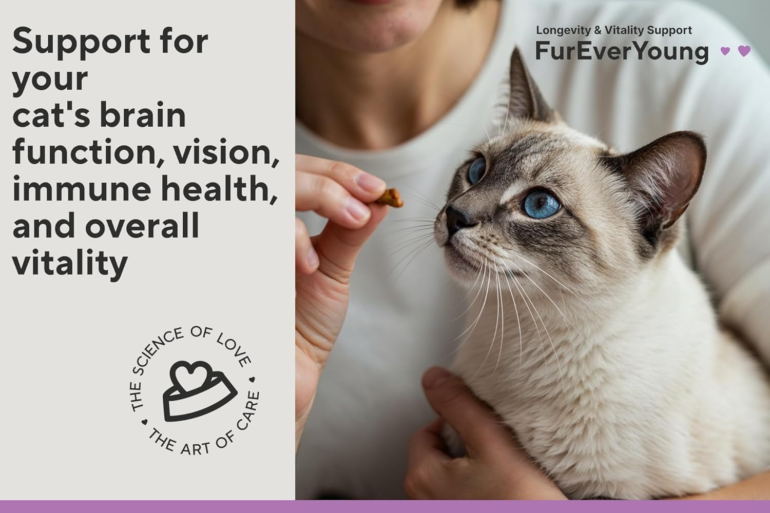 Vitamin Treats for Senior Cats: Brain Function, Immune Health, Vision, Longevity & Overall Vitality in Aging Cats. Enriched with Breakthrough Active Ingredients (30 Days Supply)