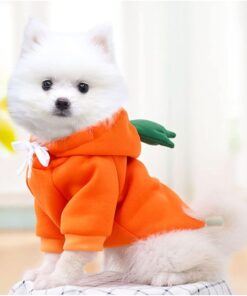 Warm Dog Winter Clothes Cute Fruit Dog Coat Hoodies Fleece Pet Dogs Costume Jacket for French Bulldog Chihuahua Ropa para Perro(Orange,S)