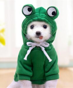 Warm Dog Winter Clothes Cute Fruit Dog Coat Hoodies Fleece Pet Dogs Costume Jacket for French Bulldog Chihuahua Ropa para Perro(Green,XS)