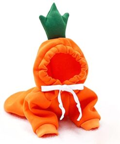 Warm Dog Winter Clothes Cute Fruit Dog Coat Hoodies Fleece Pet Dogs Costume Jacket for French Bulldog Chihuahua Ropa para Perro(Green,XS)